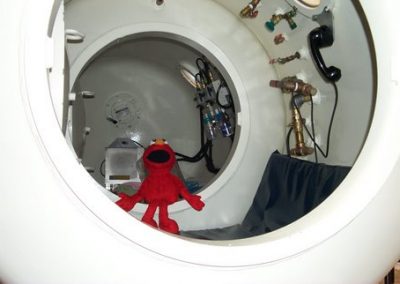 muppet inside chamber